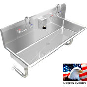 BSM Inc. Stainless Steel Sink, 2 Station w/Manual Faucets Round Tube Mounted 48" L X 20" W X 8" D