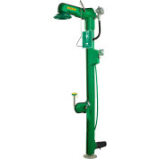 Haws® AXION® MSR, 8317CTFP, 120 VAC Freeze-Resistant Combo Shower and Eye Wash Station