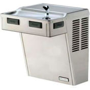 Halsey Taylor ADA Drinking Fountain, Non-Refrigerated, Filtered, HACDPV-WF