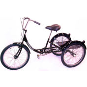 Husky Bicycles Industrial Tricycle, 500 Lb. Capacity, 24" Wheels,W/Platform, Solid Tires, Black