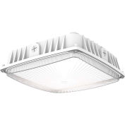 Hubbell Outdoor Sling LED Canopy Light, 5000L, 39W, 4000K, 120-277V, White