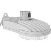 Hubbell Outdoor Sling LED Dusk-to-Dawn, 5700L, 40W,Type 5 Dist, 120-277V, Gray