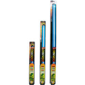 SunBlaster SL0900304 T5HO Fluorescent Grow Light Kit 54W, 6400K, NanoTech Reflector, 4'