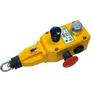 IDEM 142010 GLS Rope Pull Switch W/E Stops, 2NC 1NO, 1/2NPT, Die Cast