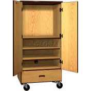 Mobile Wood Video Center Cabinet, Solid Door, 48"W x 22-1/4"D x 66"H, Maple/Black