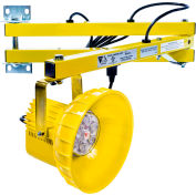 Ideal Warehouse Innovations DL40-PL1 LED Module Dock Light 40" Bras, 810 Lumens, 5500K, 8' cordon