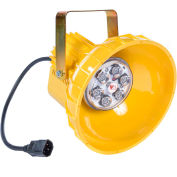Ideal Warehouse Innovations PL1HEAD Dock Light Head Retrofit & LED Module, 810 Lumens, 5500K