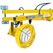 Ideal Warehouse Innovations DL40-P Standard Dock Light 40" Bras, Incandescent, 8' cordon