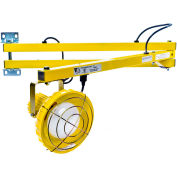 Ideal Warehouse Innovations DL60-P Standard Dock Light 60" Bras, Incandescent, 6' cordon