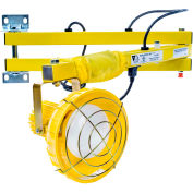 Ideal Warehouse Innovations FLDL40-P Flexible Dock Light 40" Bras, Incandescent, 8' cordon