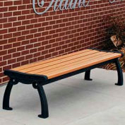 Frog Furnishings Recycled Plastic 4 ft. Heritage Backless Bench, Cedar Bench/Black Frame
