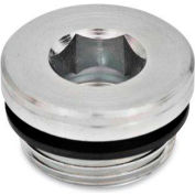 J.W. Winco GN 749 Threaded Pipe Plugs, Steel, Zinc Plated, w/ NBR Synthetic Rubber Seal, M 12 x 1.5