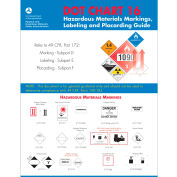 LabelMaster® CHART-16 DOT Graphique 16, Papier enduit, 11 x 17 pouces
