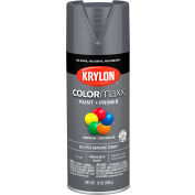 Krylon® Colormaxx™ Paint & Primer, 12 oz., Gloss Smoke Grey, qté par paquet : 6
