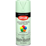 Krylon® Colormaxx™ Paint & Primer, 12 oz, vert bord de mer mat, qté par paquet : 6