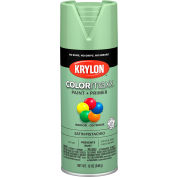 Krylon® Colormaxx™ Paint & Primer, 12 oz., Pistache satinée, qté par paquet : 6