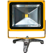 Lind Equipment LE965LEDC-FS à piles portables lourds LED Flood Light - 30W, pied de sol