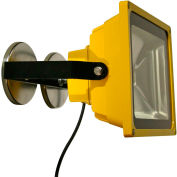 Lind matériel LE970LED-MAG portatif robuste LED Flood Light - 40W, Mount Magnet