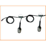 Lind Equipment TLS-100XPLED Expl Proof Stringlights, 100', 10 Lights, Expl Proof Plug & Connector