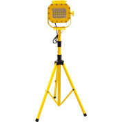 Lind Equipment 40W LED Portable Hazardous Location Floodlight on Tripod