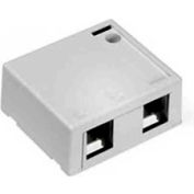 Leviton QuickPort 41089-2WP Mont Surface logement, 2 ports, blanc, qté par paquet : 56