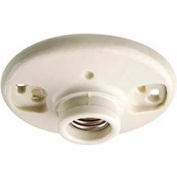 Leviton 49875 Medium Base 1-Piece Glazed Porcelain Outlet Bx Mount Incand. Lampholder