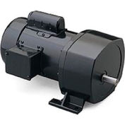 Leeson 107002.00, 1/4 HP, 26 RPM, 115/208-230V, 1-Phase, TEFC, P1100, 66:1 Ratio, 569 In-Lbs