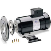 Leeson moteurs moteur de C.C de métrique-1,5 kW, 24 v, 3000 tr/min, IP44, spécial