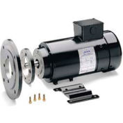 Moteur à CC Leeson Motors IEC Metric 1,5 KW, 3000 trs/min, 90L, IP54, 180 V, S1, 40C, 1SF, spécial