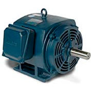 Leeson 170034.60, Premium Eff., 25 HP, 3545 RPM, 208-230/460V, 256T, DP, Rigid