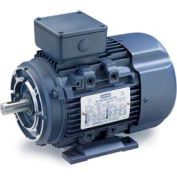 Leeson moteurs IEC moteur moteur métrique-3HP, 230/460V, 1750/1430 tr/min, IP55, B3/B14, 1,15 SF, 87,5 eff.