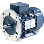 Leeson Motors moteur moteur métrique IEC-5,5HP, 230/460V, 3520/2905 tr/min, IP55, B3/B5, 1,15 SF, 87,5 eff.