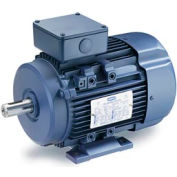 Leeson Motors Motor IEC Metric Motor-5.5HP, 575V, 3520RPM, IP55, B3, 1.15 SF, 87.5 Eff.