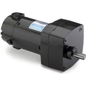 Leeson 1/20 HP, 20 tr/min, M1115000.00, 90VDC, TENV, PZ, Ratio de 90 : 1, 100 po / lb