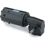 Leeson M1125082.00, 1/15 HP, 58 RPM, 115/230V, 1-Phase, TENV, 10, 30:1 Ratio, 40 In-Lbs