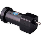 Leeson HP 1125128/00, 1 tr/min, 15V, M19.115, 1 phases, TEFC, PZ, rapport de 90:1, 100 po-lb