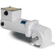 Leeson M1125277.00, 1/4 chevaux, 62 tr/min., 90VDC, TENV, 13, rapport de 40:1, 135 po/lb
