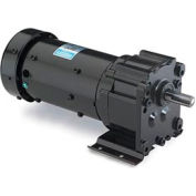 Leeson, M1145023.00, 1/15 HP, 15 t/min, 115/230V, 1 Phase, TENV, P240, 114:1 Ratio, 250 po / lb