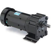 Leeson M1145029.00, 1/15 HP, 8 RPM, 115/230V, 1-Phase, TENV, P240, 216:1 Ratio, 345 In-Lbs