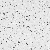 USG 2410 Radar™ ClimaPlus™ Ceiling Panels, Mineral Fiber, White, 48" x 24"