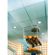 USG 3270 Sheetrock™ Ceiling Panels, Gypsum Panel, White, 48" x 24"