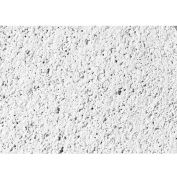 USG 418 Frost™ ClimaPlus™ Panneaux plafonds, Fibres minérales, Blanc, 24" x 24"