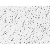 USG 506 Fissured™ Ceiling Panels, Mineral Fiber, White, 24" x 24"