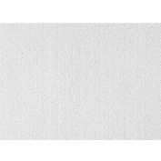 USG 56099 Clean Room™ ClimaPlus™ Ceiling Panels, Mineral Fiber, White, 24" x 24"