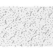 USG 586 Fissured™ Panneaux de plafond, Fibre minérale, Blanc, 24" x 48"