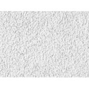 USG 76975 Eclipse™ ClimaPlus™ Ceiling Panels, Mineral Fiber, White, 24" x 24"