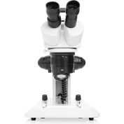 LW scientifique DMM-S13N-7LL3 DM-Dual Mag double LED stéréomicroscope W/Light Stand, 10 - 30 x