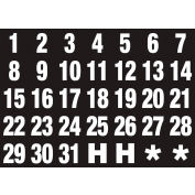 Magna Visual Magnetic Heading Calendar Dates, Numbers 1-31, White on Black