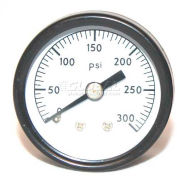 Mitco P125-2m Pump Test Gauge, 0-300 Psi Pressure, 2" Face