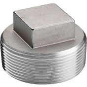 1/2 po 304 Inox Plug - MNPT - classe 150-300 PSI - importation